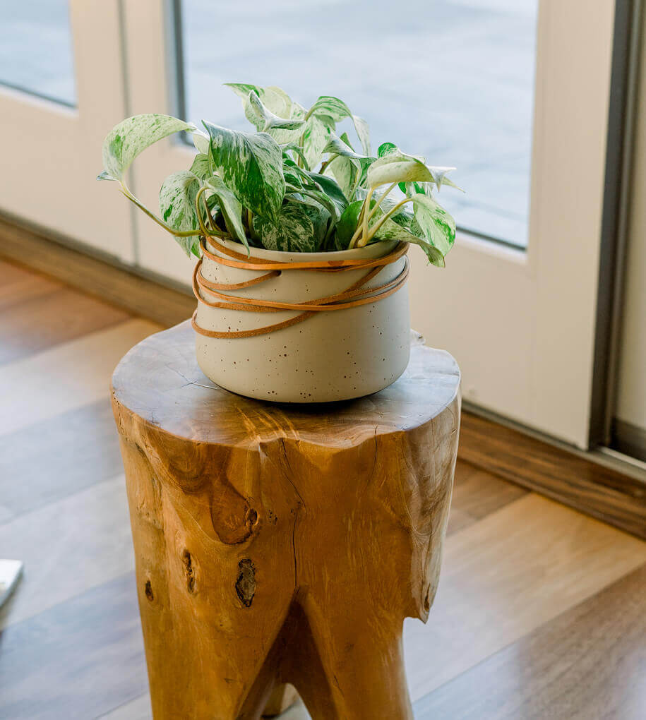 natürliches Design Holz + Pflenzen