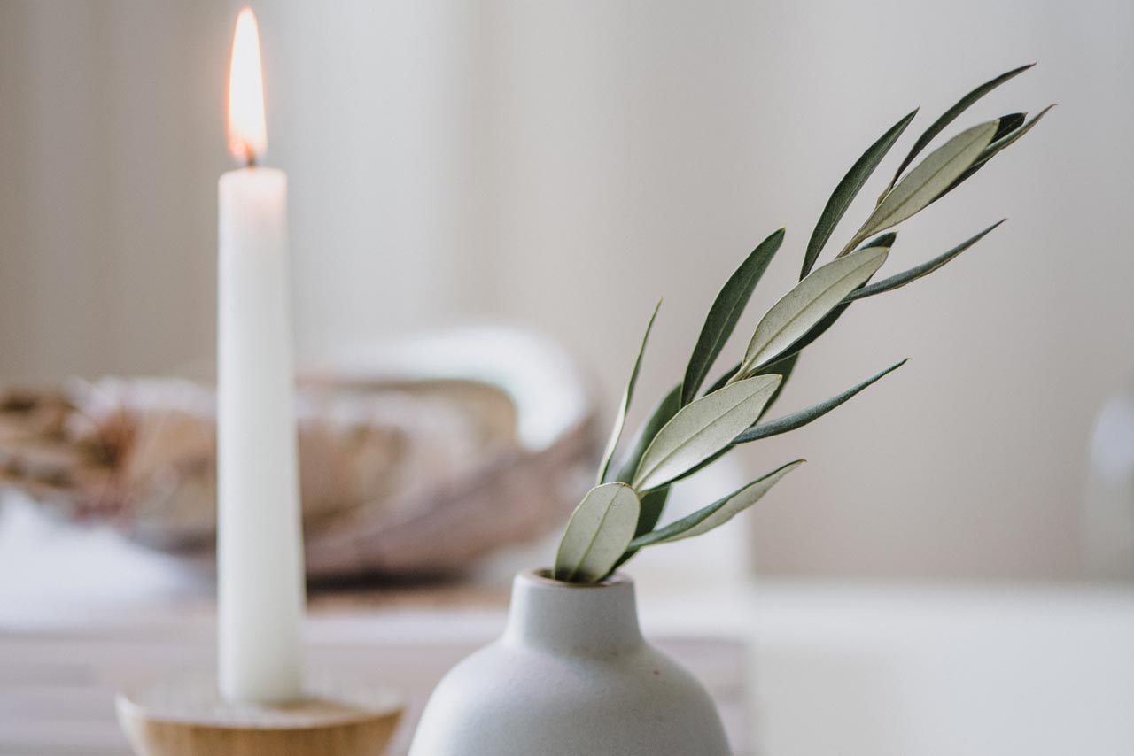 Blooming Flowers in The House