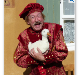 Ein Zauberer im verzauberten Bereich